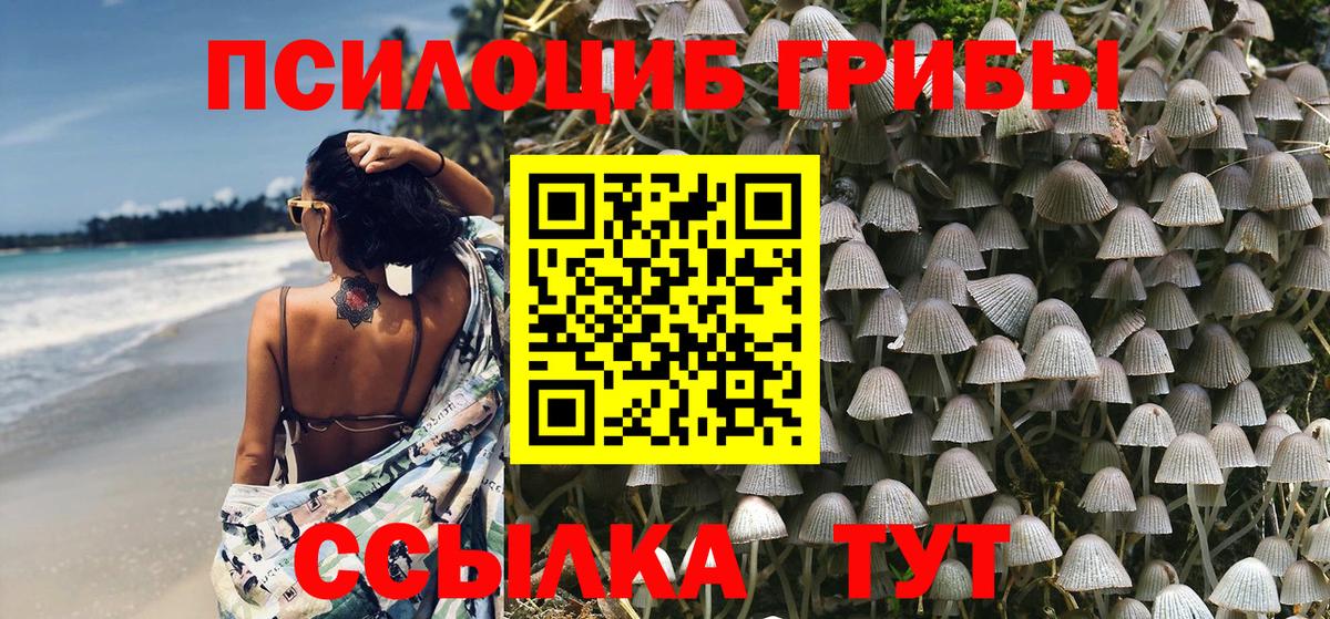 Псилоцибиновые грибы Psilocybe Тельмана
