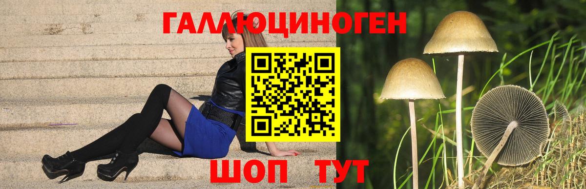 Псилоцибиновые грибы MAGIC MUSHROOMS  Вход с VPN  Тельмана 