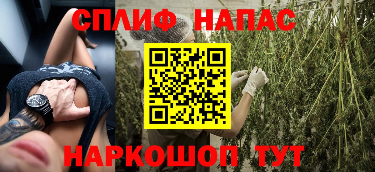Конопля индика Тельмана